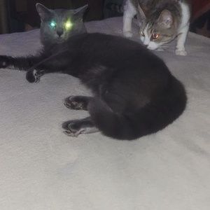 Meet your Posher, Gina